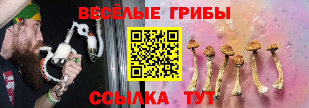 Галлюциногенные грибы Magic Shrooms Элиста